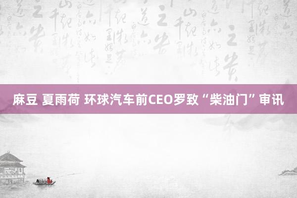 麻豆 夏雨荷 环球汽车前CEO罗致“柴油门”审讯