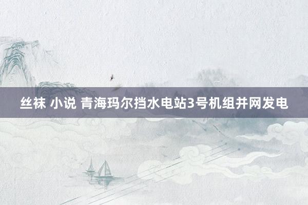 丝袜 小说 青海玛尔挡水电站3号机组并网发电