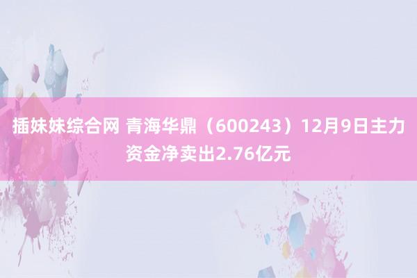 插妹妹综合网 青海华鼎（600243）12月9日主力资金净卖出2.76亿元