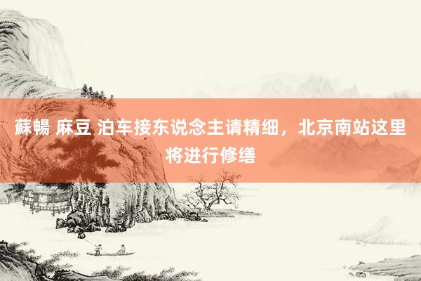 蘇暢 麻豆 泊车接东说念主请精细，北京南站这里将进行修缮