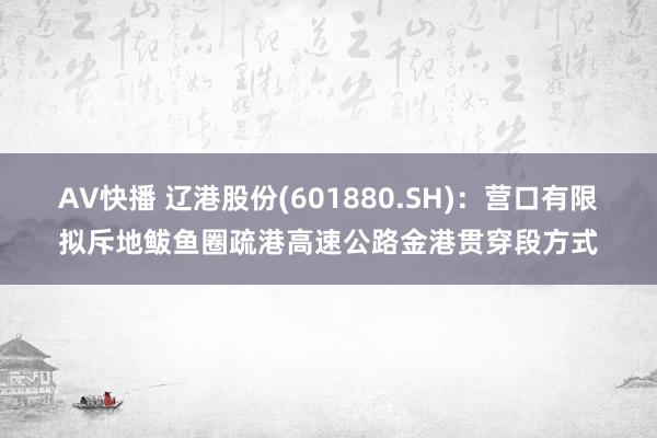 AV快播 辽港股份(601880.SH)：营口有限拟斥地鲅鱼圈疏港高速公路金港贯穿段方式
