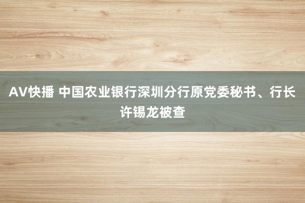 AV快播 中国农业银行深圳分行原党委秘书、行长许锡龙被查