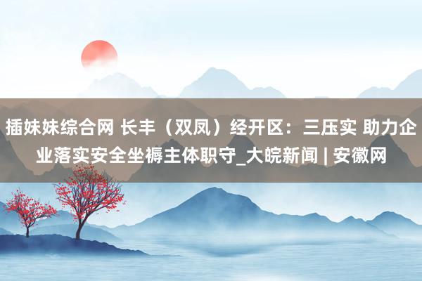 插妹妹综合网 长丰（双凤）经开区：三压实 助力企业落实安全坐褥主体职守_大皖新闻 | 安徽网