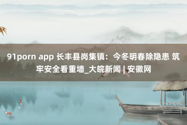 91porn app 长丰县岗集镇：今冬明春除隐患 筑牢安全看重墙_大皖新闻 | 安徽网