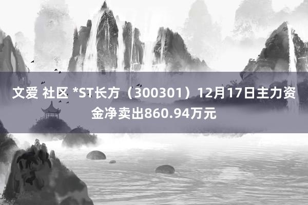 文爱 社区 *ST长方（300301）12月17日主力资金净卖出860.94万元