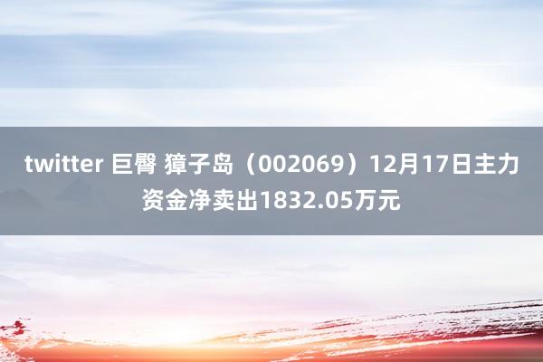 twitter 巨臀 獐子岛（002069）12月17日主力资金净卖出1832.05万元
