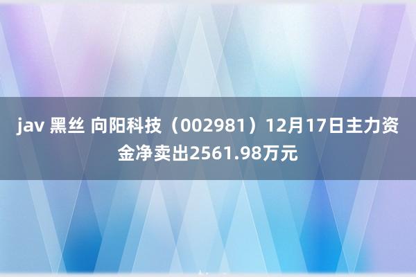 jav 黑丝 向阳科技（002981）12月17日主力资金净卖出2561.98万元