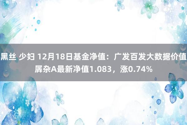 黑丝 少妇 12月18日基金净值：广发百发大数据价值羼杂A最新净值1.083，涨0.74%