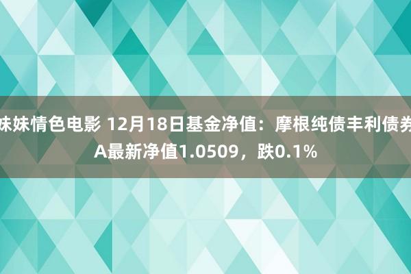 妹妹情色电影 12月18日基金净值：摩根纯债丰利债券A最新净值1.0509，跌0.1%