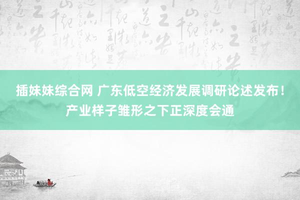 插妹妹综合网 广东低空经济发展调研论述发布！产业样子雏形之下正深度会通