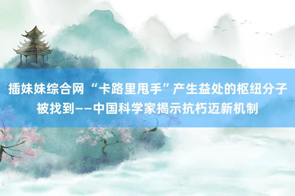 插妹妹综合网 “卡路里甩手”产生益处的枢纽分子被找到——中国科学家揭示抗朽迈新机制