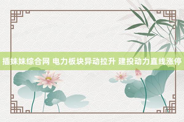 插妹妹综合网 电力板块异动拉升 建投动力直线涨停
