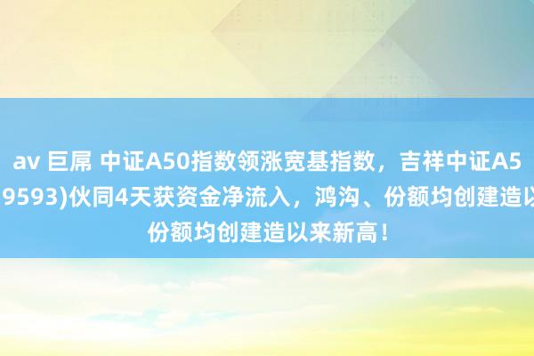 av 巨屌 中证A50指数领涨宽基指数，吉祥中证A50ETF(159593)伙同4天获资金净流入，鸿沟、份额均创建造以来新高！