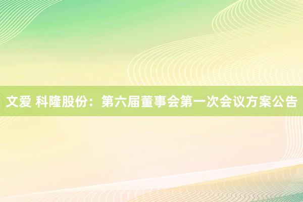 文爱 科隆股份：第六届董事会第一次会议方案公告