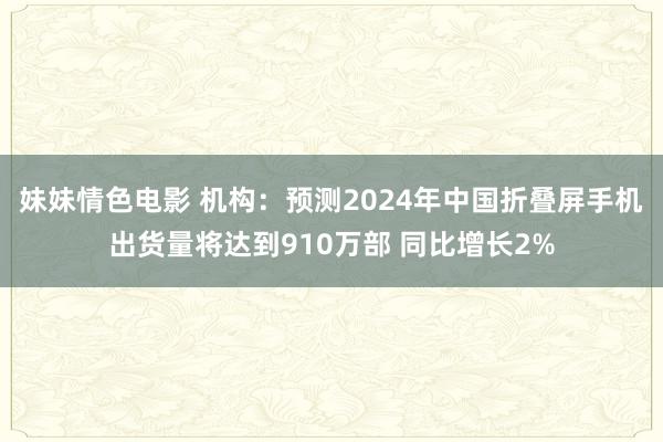 妹妹情色电影 机构：预测2024年中国折叠屏手机出货量将达到910万部 同比增长2%