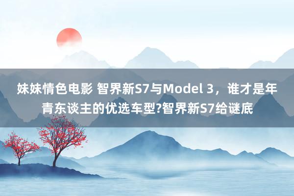 妹妹情色电影 智界新S7与Model 3，谁才是年青东谈主的优选车型?智界新S7给谜底