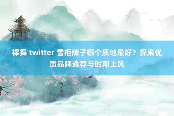 裸舞 twitter 雪柜牌子哪个质地最好？探索优质品牌遴荐与时期上风