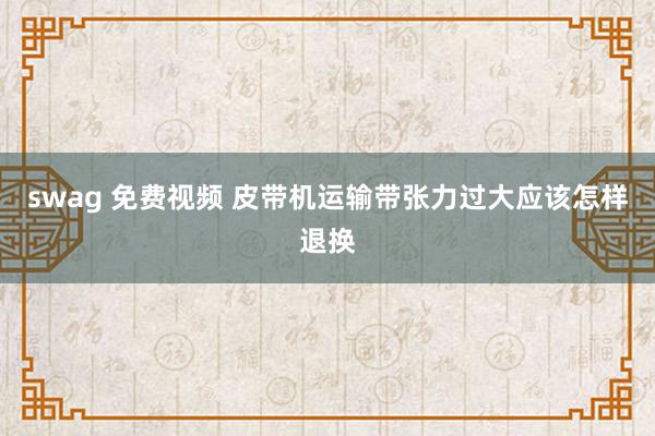 swag 免费视频 皮带机运输带张力过大应该怎样退换