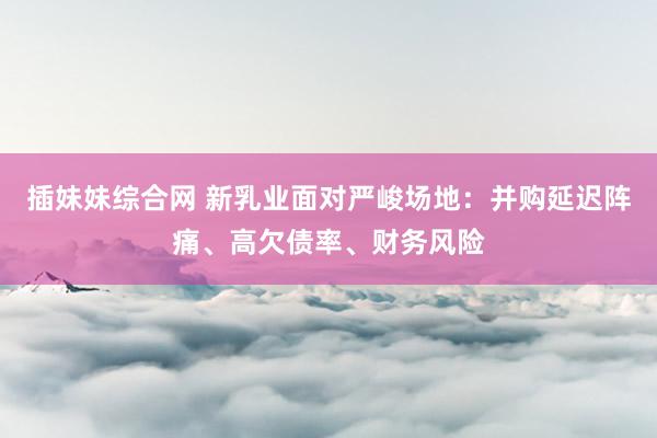 插妹妹综合网 新乳业面对严峻场地：并购延迟阵痛、高欠债率、财务风险
