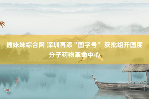 插妹妹综合网 深圳再添“国字号” 获批组开国度分子药物革命中心