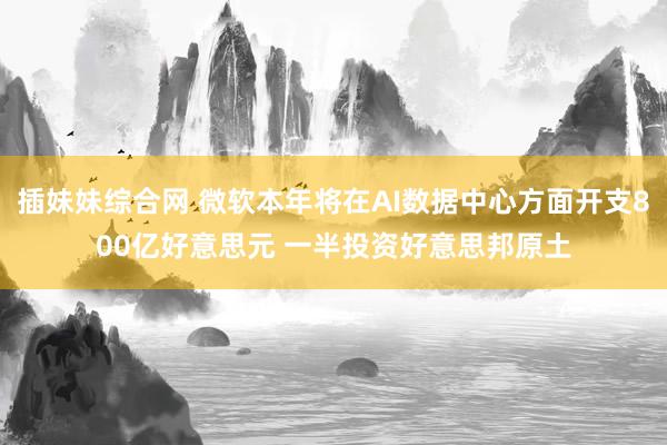 插妹妹综合网 微软本年将在AI数据中心方面开支800亿好意思元 一半投资好意思邦原土