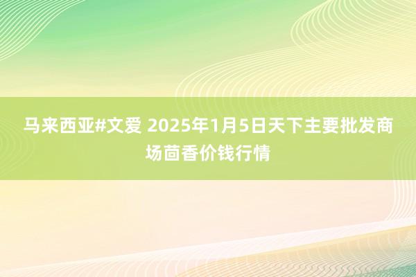 马来西亚#文爱 2025年1月5日天下主要批发商场茴香价钱行情