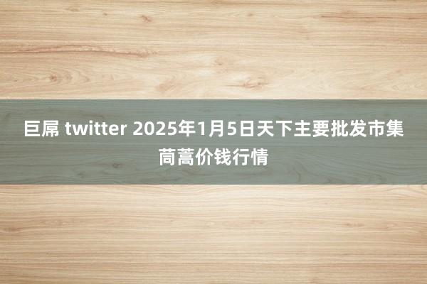 巨屌 twitter 2025年1月5日天下主要批发市集茼蒿价钱行情
