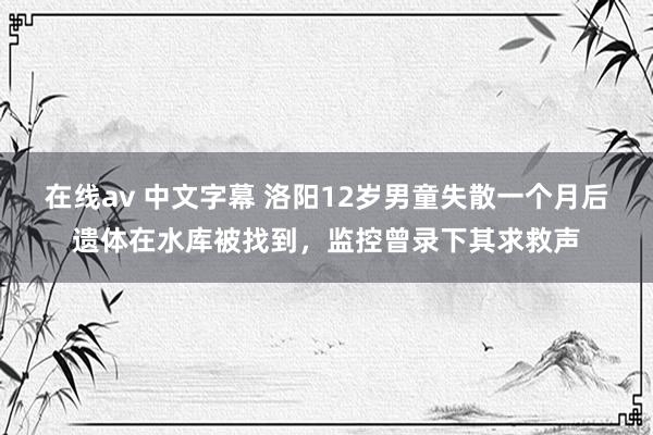 在线av 中文字幕 洛阳12岁男童失散一个月后遗体在水库被找到，监控曾录下其求救声