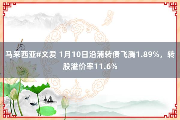 马来西亚#文爱 1月10日沿浦转债飞腾1.89%，转股溢价率11.6%