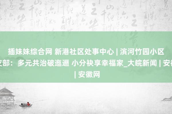 插妹妹综合网 新港社区处事中心 | 滨河竹园小区党支部：多元共治破迤逦 小分袂享幸福家_大皖新闻 | 安徽网