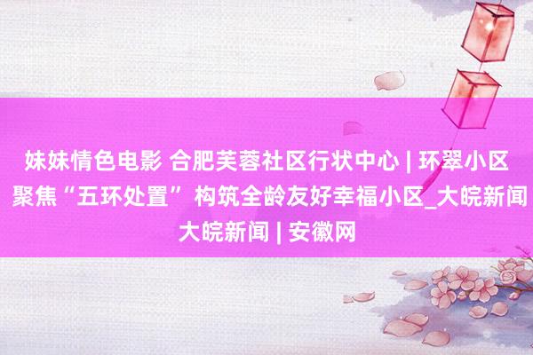 妹妹情色电影 合肥芙蓉社区行状中心 | 环翠小区党支部：聚焦“五环处置” 构筑全龄友好幸福小区_大皖新闻 | 安徽网