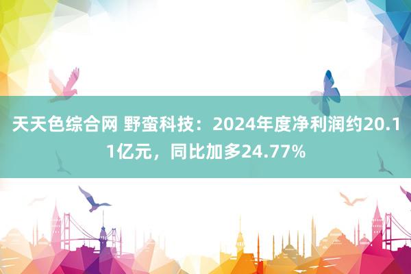 天天色综合网 野蛮科技：2024年度净利润约20.11亿元，同比加多24.77%