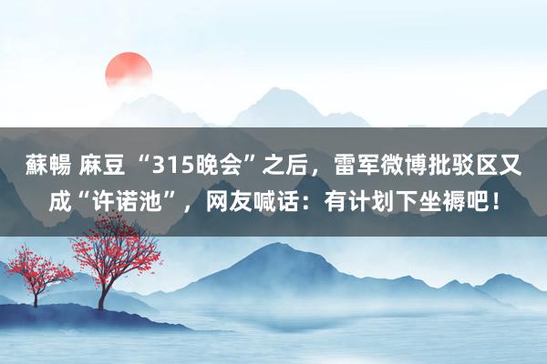 蘇暢 麻豆 “315晚会”之后，雷军微博批驳区又成“许诺池”，网友喊话：有计划下坐褥吧！
