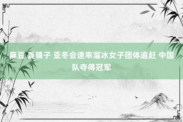 麻豆 夏晴子 亚冬会速率溜冰女子团体追赶 中国队夺得冠军