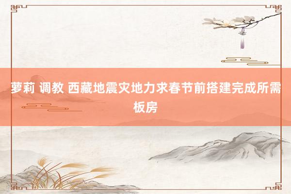 萝莉 调教 西藏地震灾地力求春节前搭建完成所需板房
