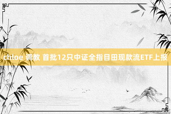 chloe 调教 首批12只中证全指目田现款流ETF上报