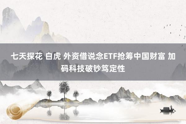 七天探花 白虎 外资借说念ETF抢筹中国财富 加码科技破钞笃定性