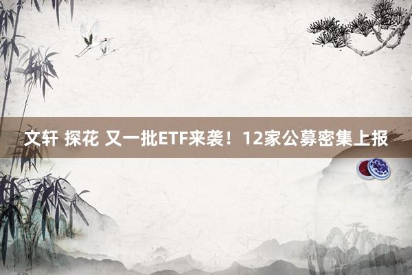 文轩 探花 又一批ETF来袭！12家公募密集上报