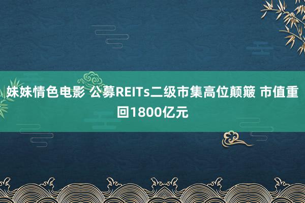 妹妹情色电影 公募REITs二级市集高位颠簸 市值重回1800亿元