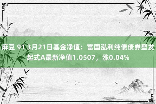麻豆 91 3月21日基金净值：富国泓利纯债债券型发起式A最新净值1.0507，涨0.04%