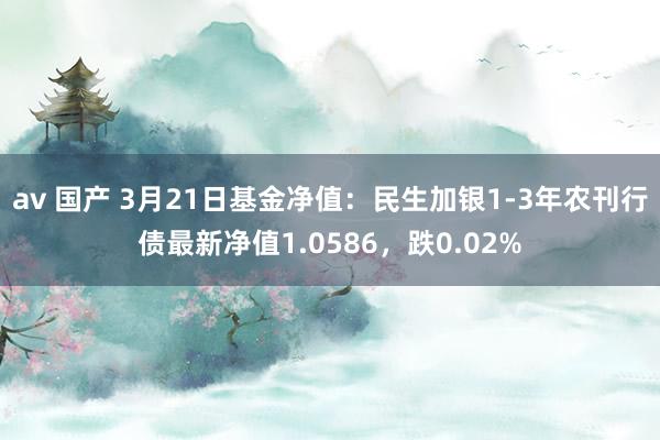 av 国产 3月21日基金净值：民生加银1-3年农刊行债最新净值1.0586，跌0.02%