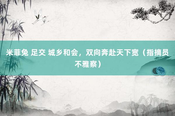 米菲兔 足交 城乡和会，双向奔赴天下宽（指摘员不雅察）
