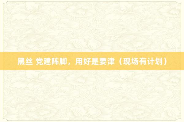黑丝 党建阵脚，用好是要津（现场有计划）