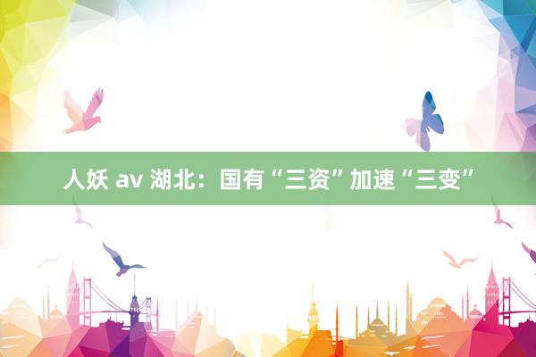 人妖 av 湖北：国有“三资”加速“三变”