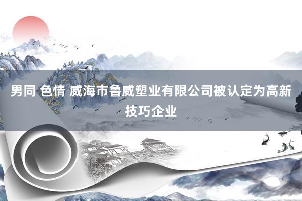 男同 色情 威海市鲁威塑业有限公司被认定为高新技巧企业