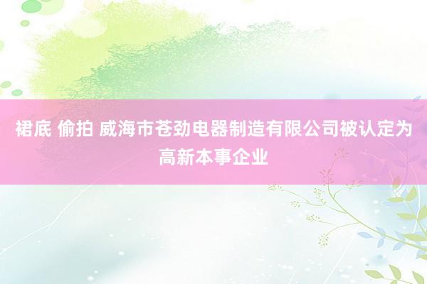 裙底 偷拍 威海市苍劲电器制造有限公司被认定为高新本事企业