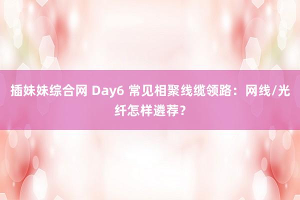 插妹妹综合网 Day6 常见相聚线缆领路：网线/光纤怎样遴荐？