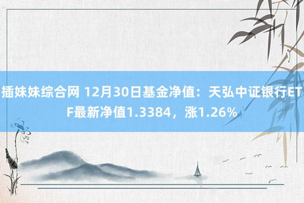 插妹妹综合网 12月30日基金净值：天弘中证银行ETF最新净值1.3384，涨1.26%