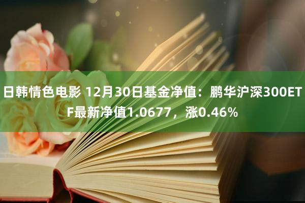 日韩情色电影 12月30日基金净值：鹏华沪深300ETF最新净值1.0677，涨0.46%