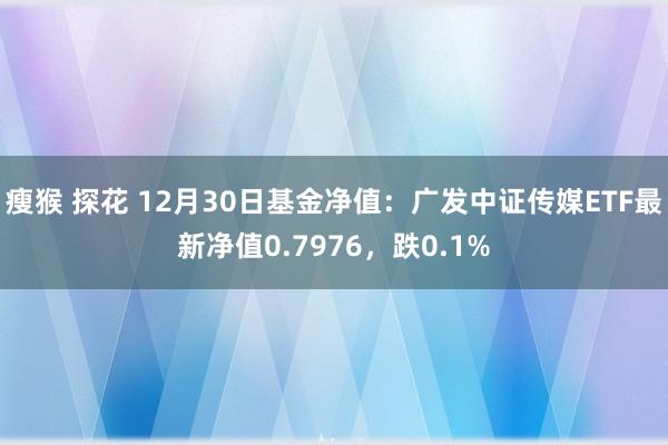 瘦猴 探花 12月30日基金净值：广发中证传媒ETF最新净值0.7976，跌0.1%